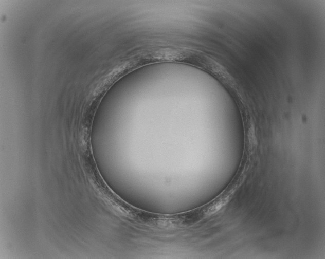 X0000053070305200508011947