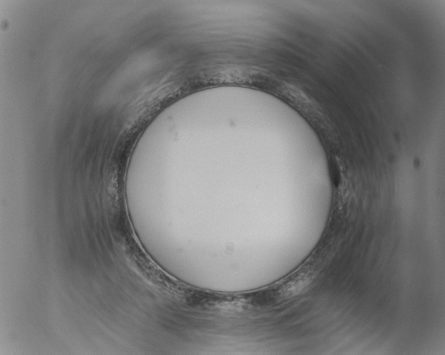 X0000053070306200508011947