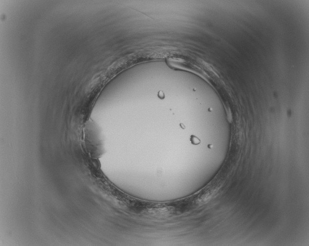 X0000053070307200508011947