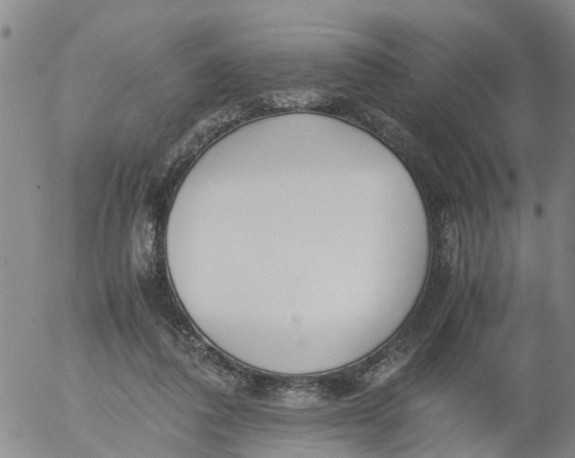 X0000053070308200508011947