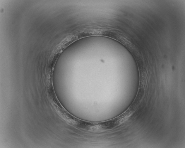 X0000053070309200508011947