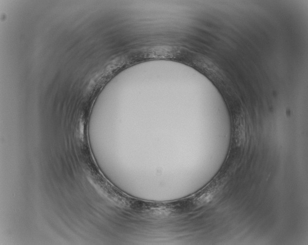 X0000053070310200508011947