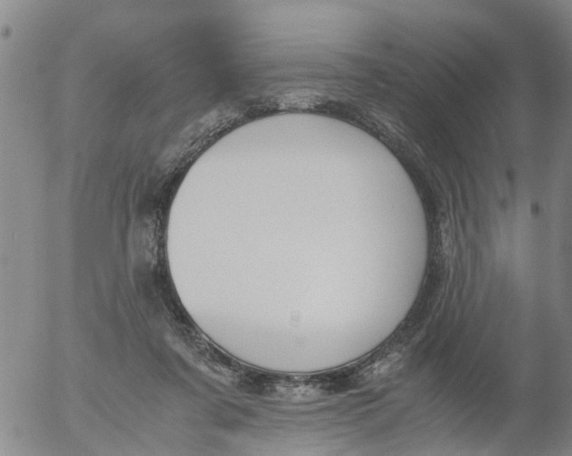 X0000053070311200508011947