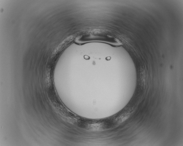 X0000053070312200508011947