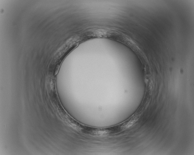 X0000053070313200508011947