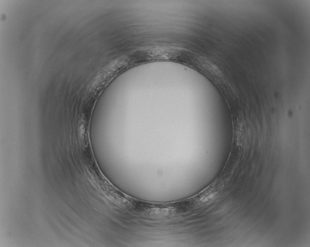 X0000053070314200508011947