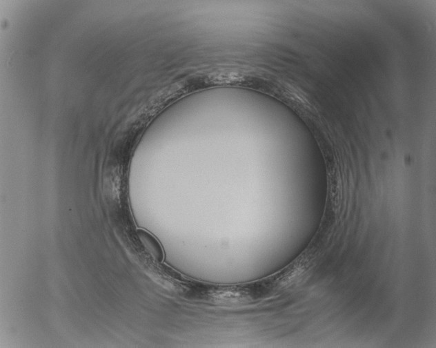 X0000053070315200508011947