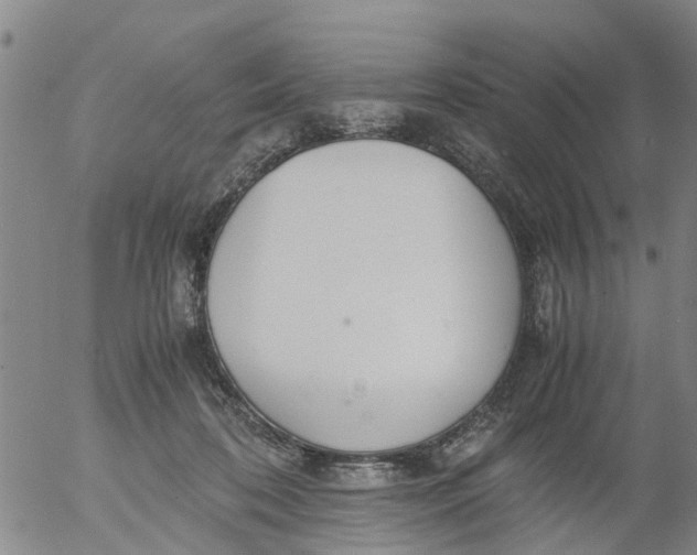 X0000053070316200508011947