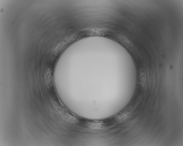 X0000053070318200508011947