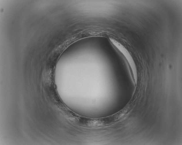 X0000053070319200508011947