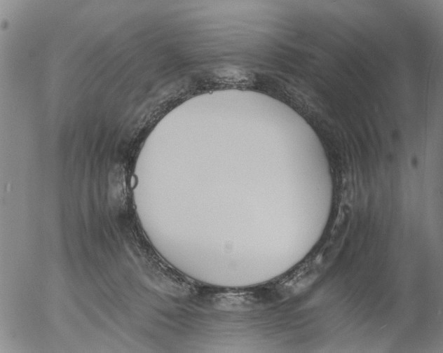 X0000053070320200508011947