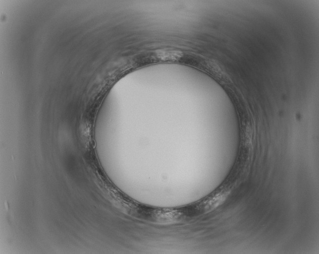 X0000053070321200508011947