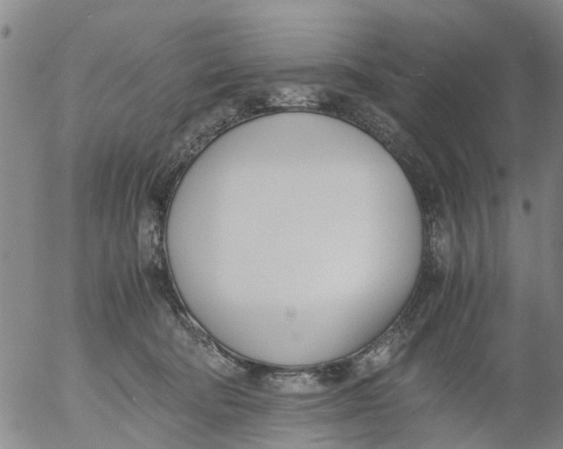 X0000053070322200508011947