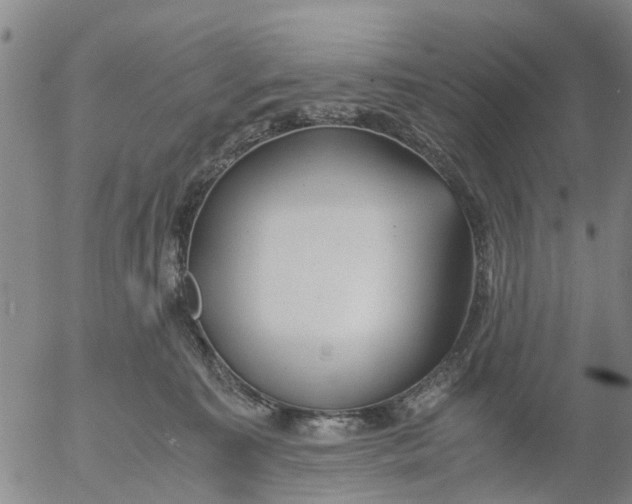 X0000053070323200508011947