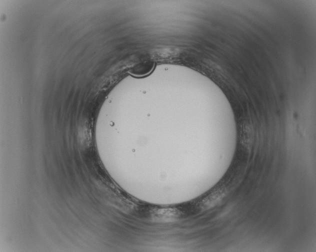 X0000053070324200508011947