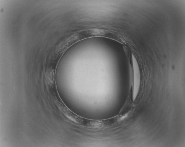 X0000053070325200508011947