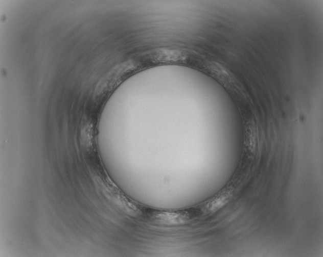 X0000053070326200508011947