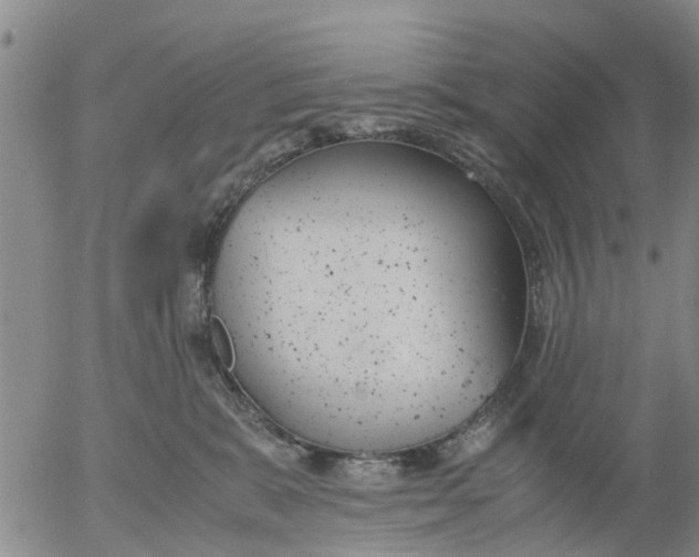 X0000053070327200508011947