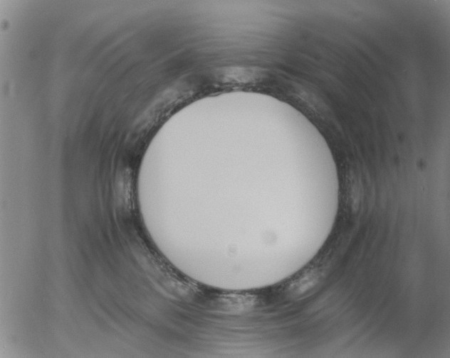 X0000053070328200508011947