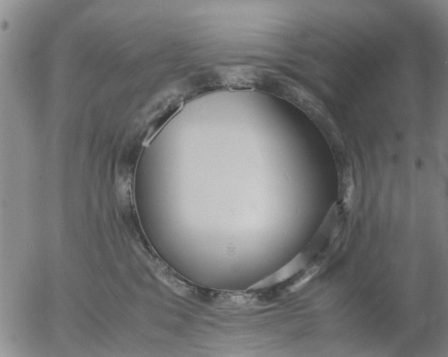 X0000053070329200508011947