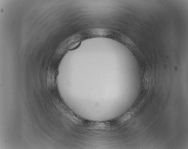 X0000053070330200508011947