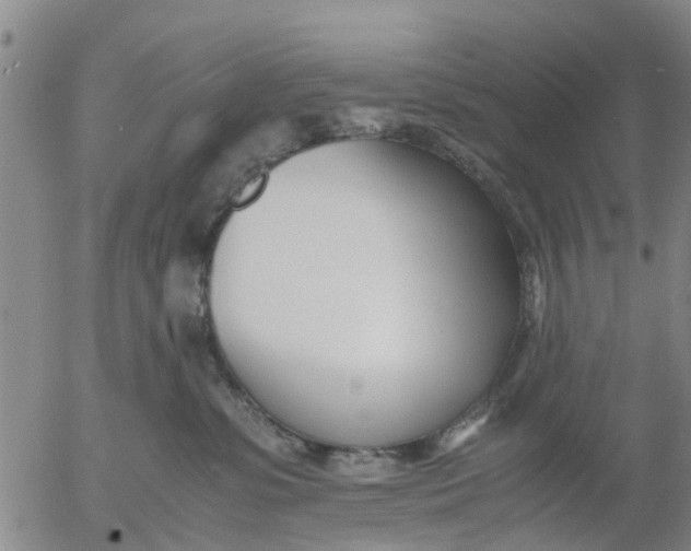 X0000053070331200508011947