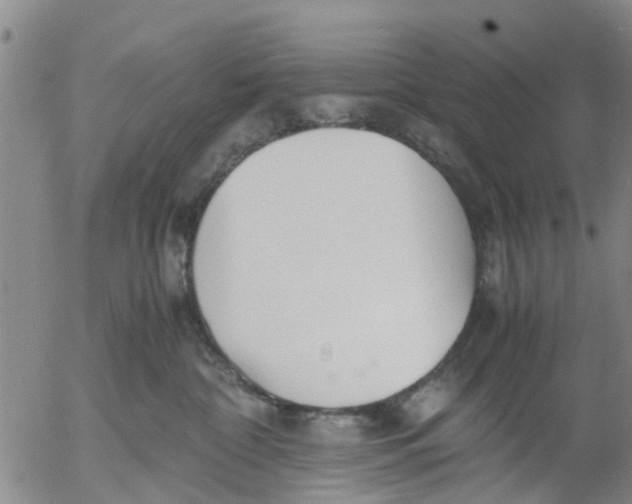 X0000053070332200508011947