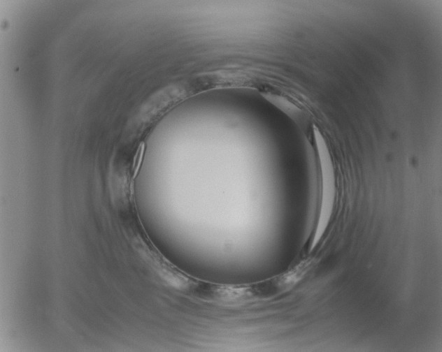 X0000053070333200508011946