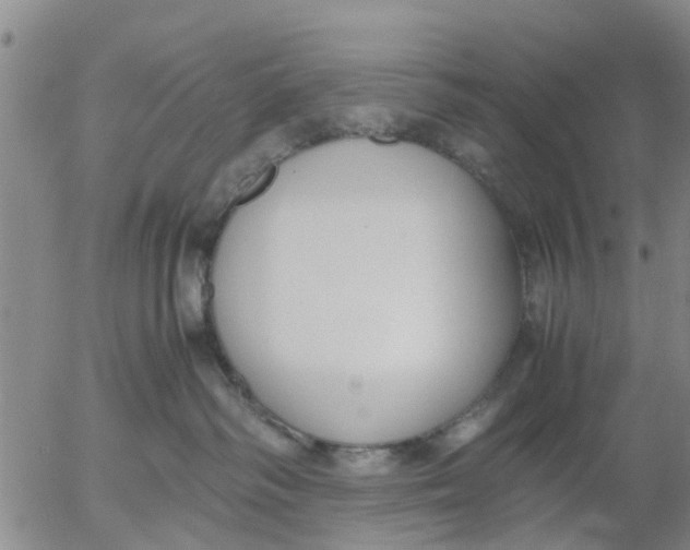 X0000053070334200508011946