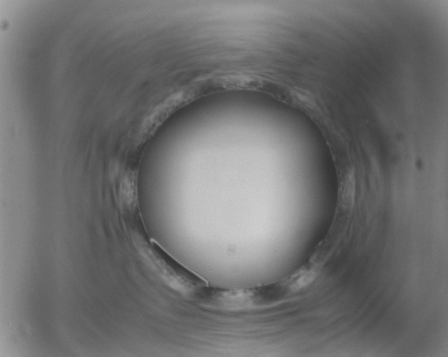 X0000053070335200508011946