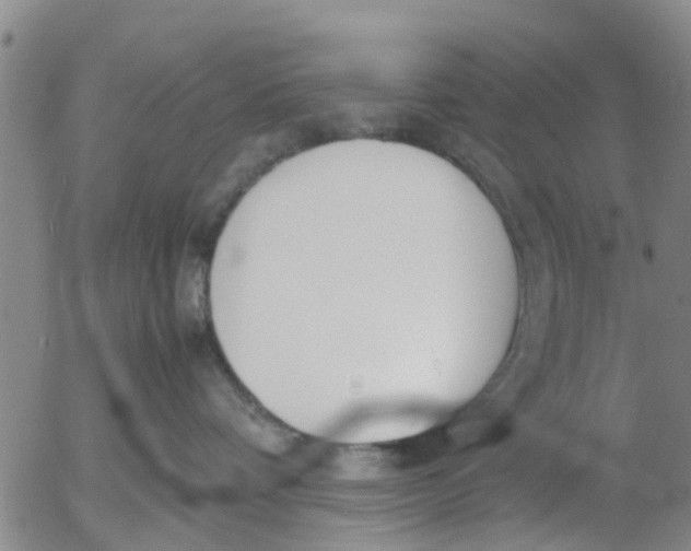 X0000053070336200508011946