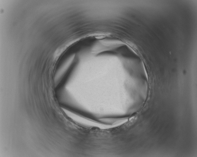 X0000053070337200508011946