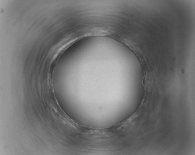 X0000053070338200508011946