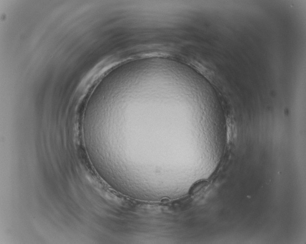 X0000053070339200508011946