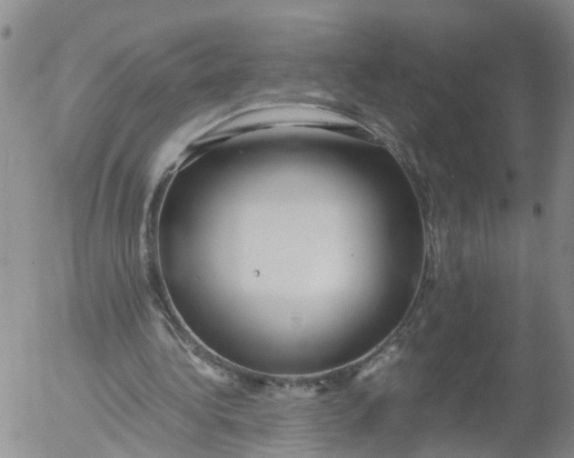 X0000053070340200508011946