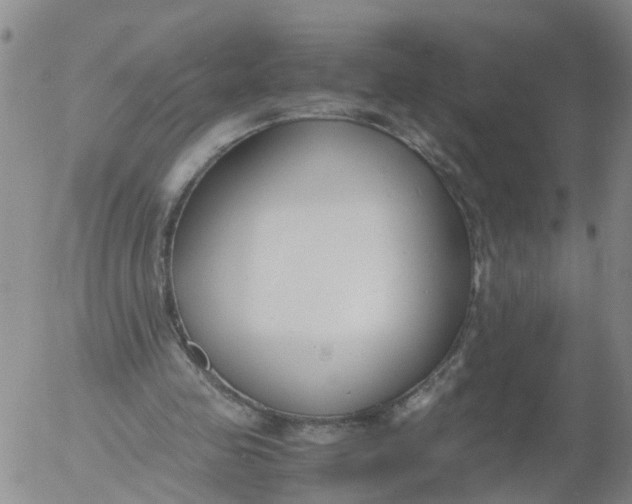 X0000053070341200508011946