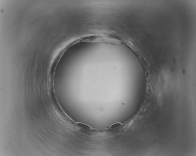 X0000053070342200508011946