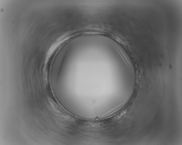 X0000053070343200508011946