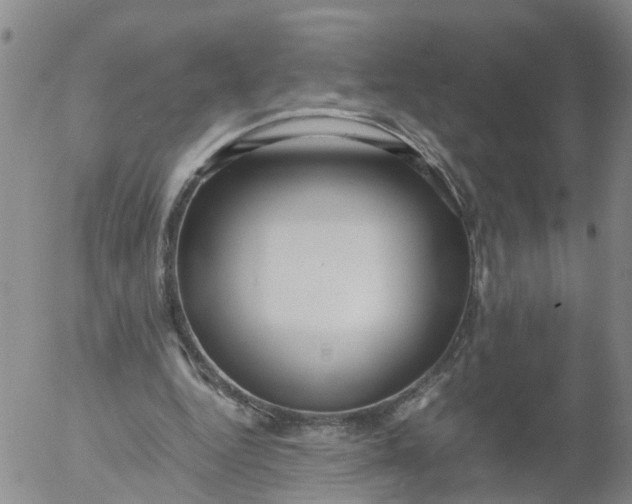 X0000053070344200508011946