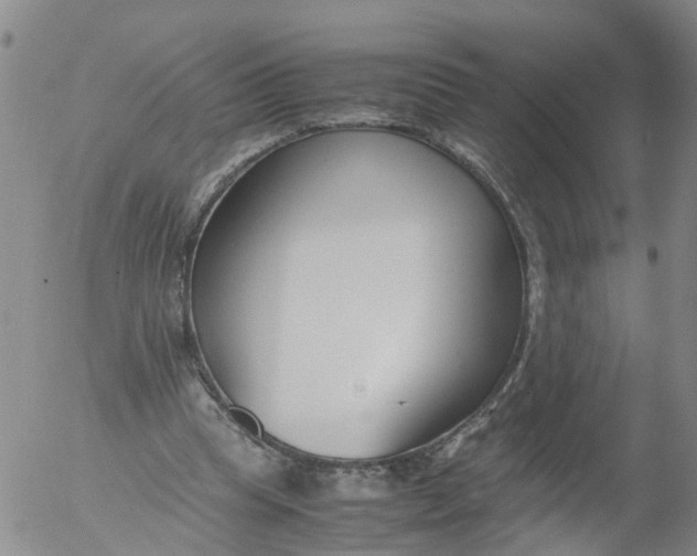 X0000053070345200508011946