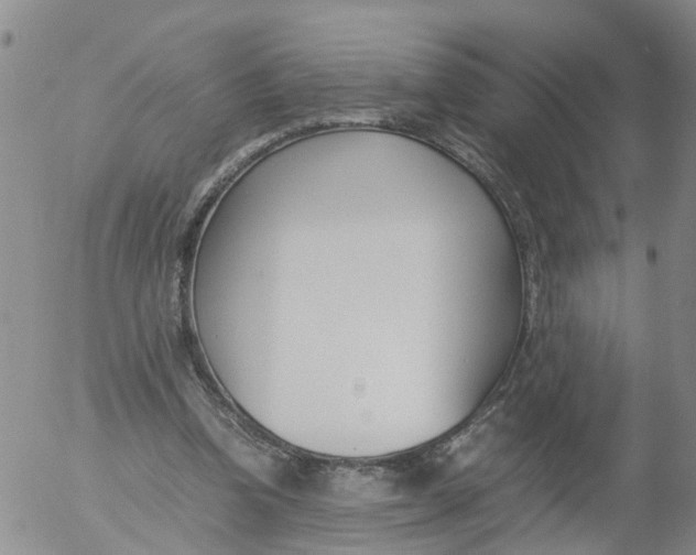 X0000053070346200508011946