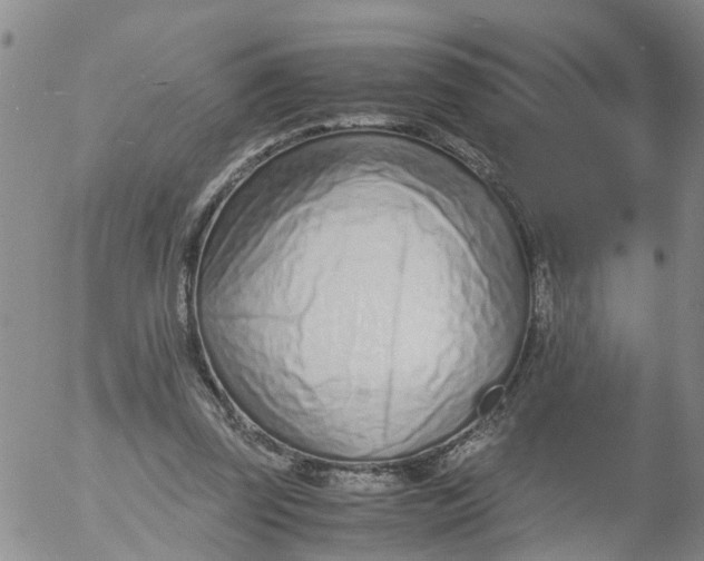 X0000053070347200508011946