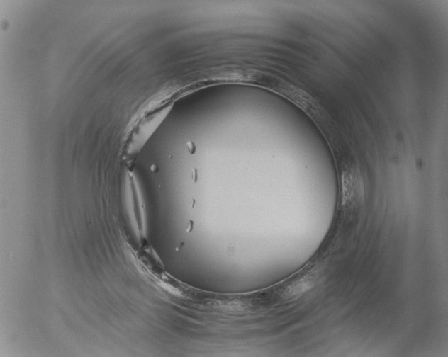 X0000053070349200508011946