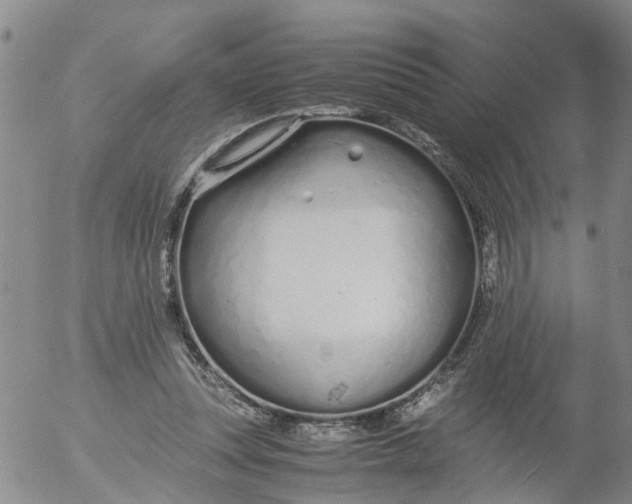 X0000053070351200508011946