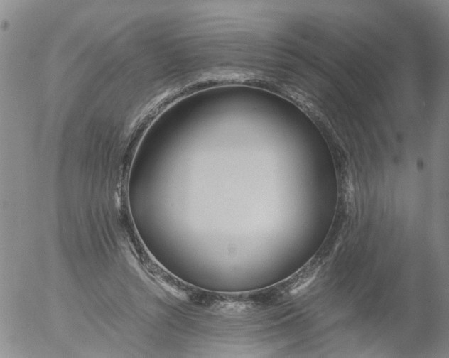 X0000053070352200508011946