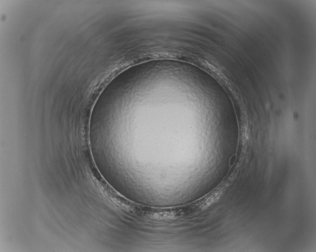 X0000053070353200508011946