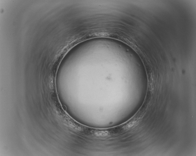 X0000053070355200508011946