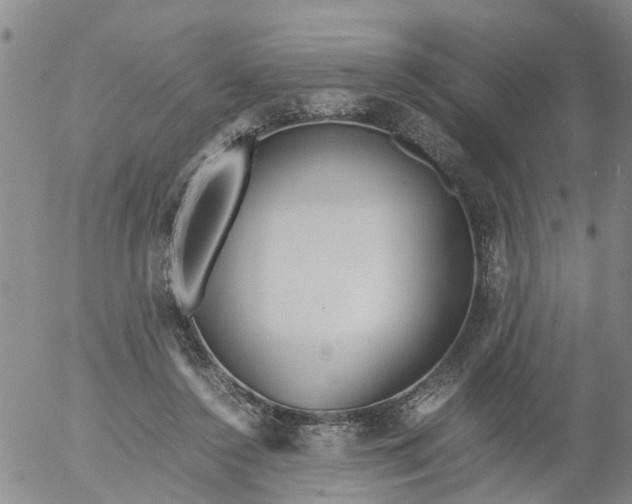 X0000053070356200508011946