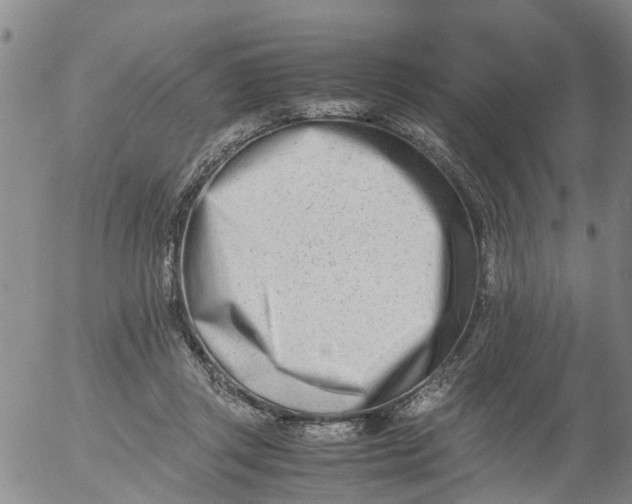 X0000053070357200508011946