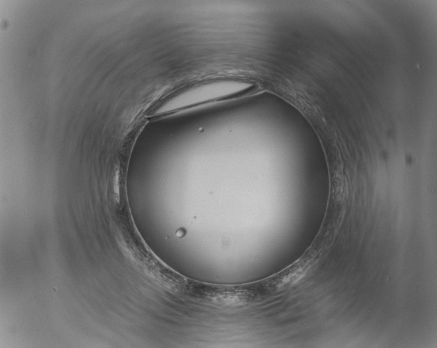 X0000053070358200508011946